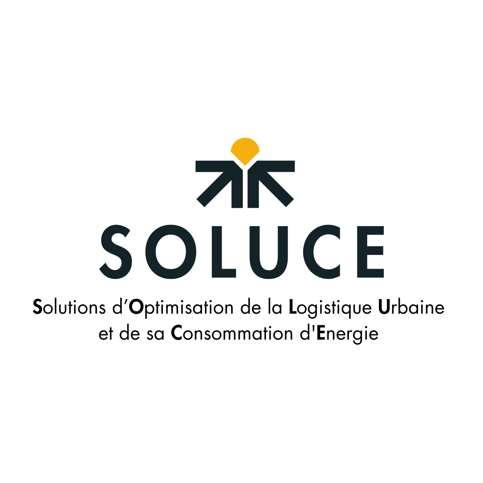 Programme Soluce - Partenaire BiciCouriers